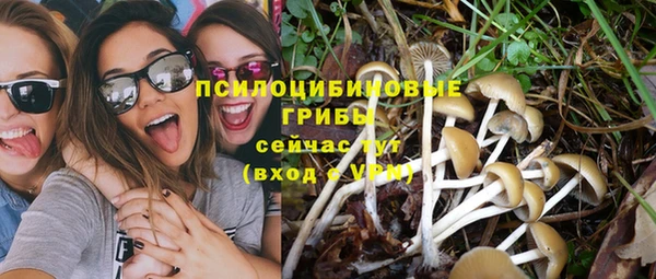 амф Абинск