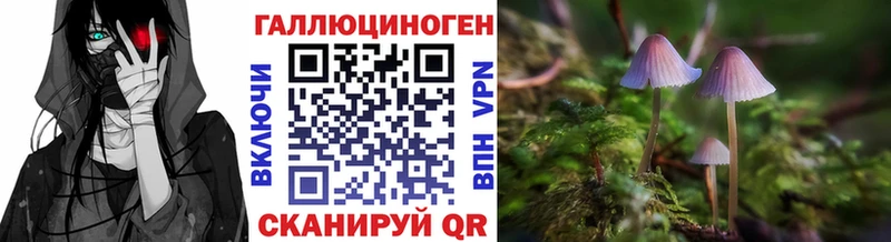что такое наркотик  Алатырь  Галлюциногенные грибы Cubensis 