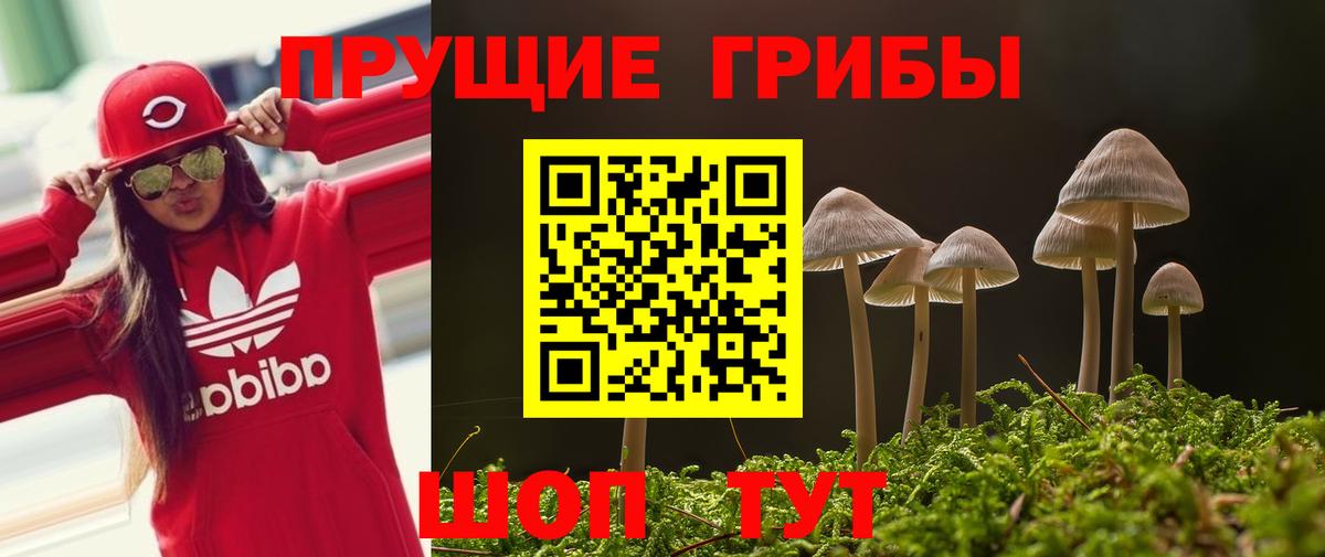 Псилоцибиновые грибы Cubensis Алатырь